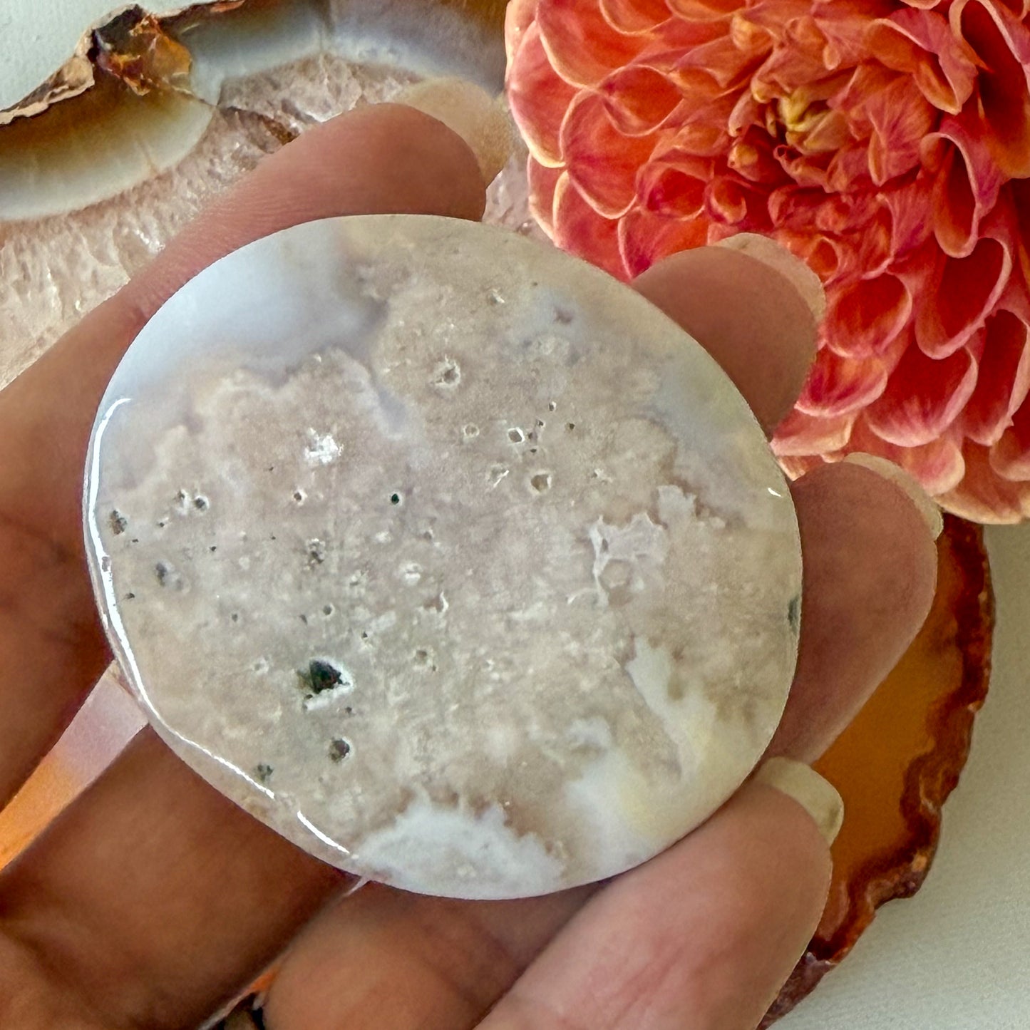 Flower Agate Palm Stone #1098