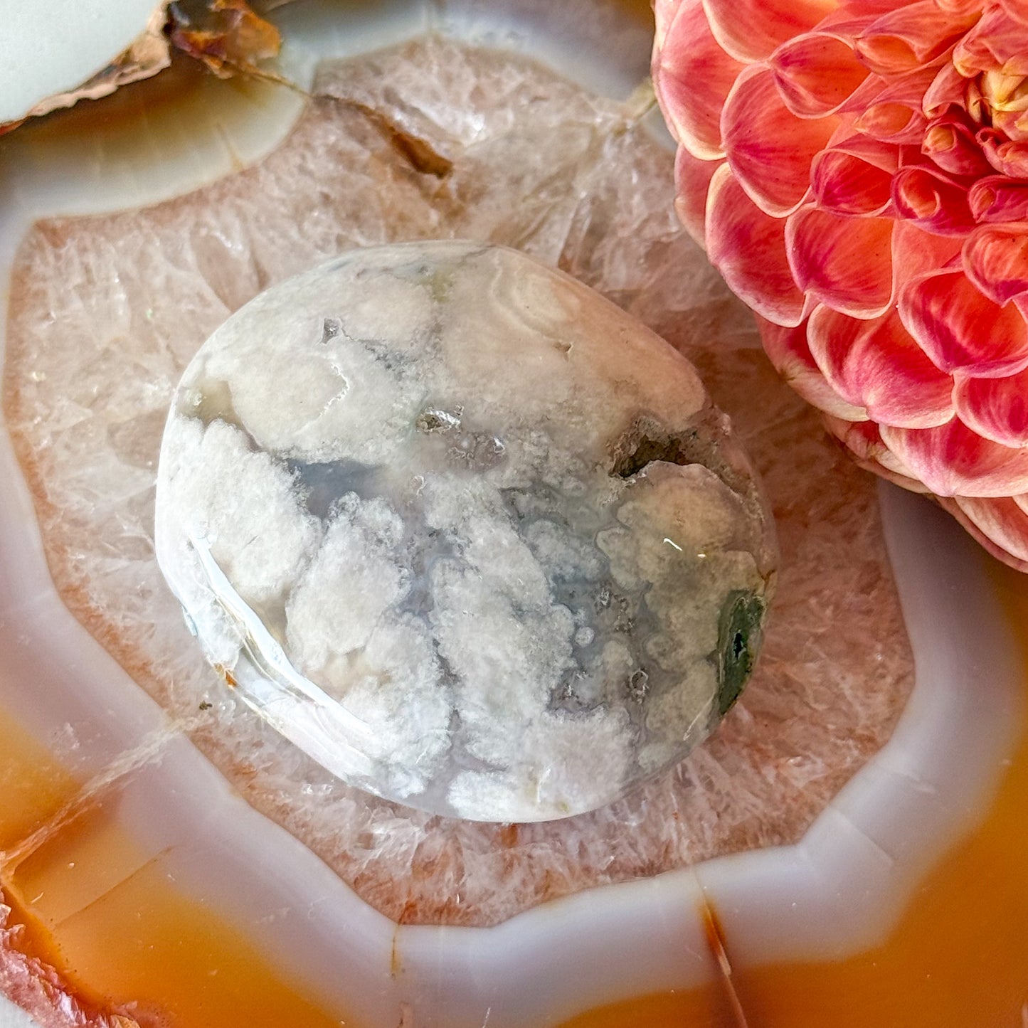 Flower Agate Palm Stone #1100