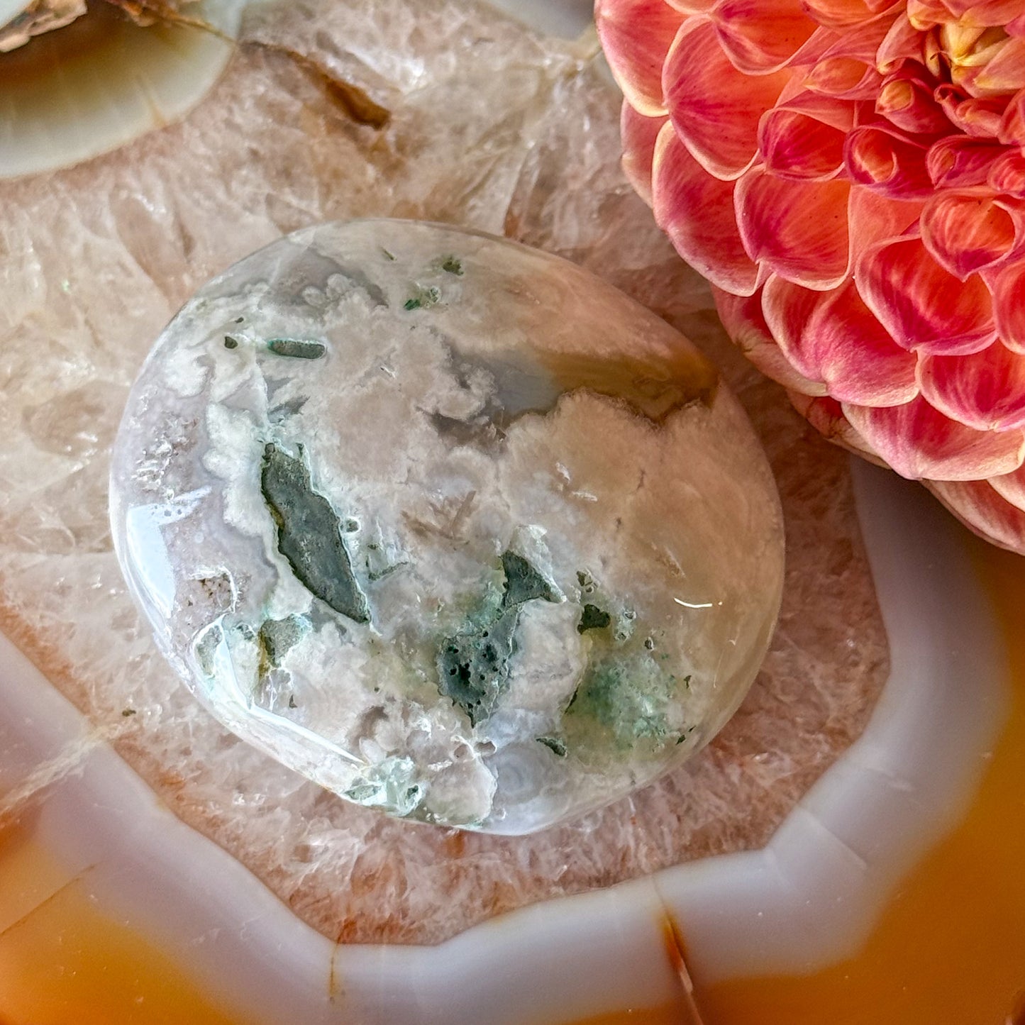 Flower Agate Palm Stone #1100
