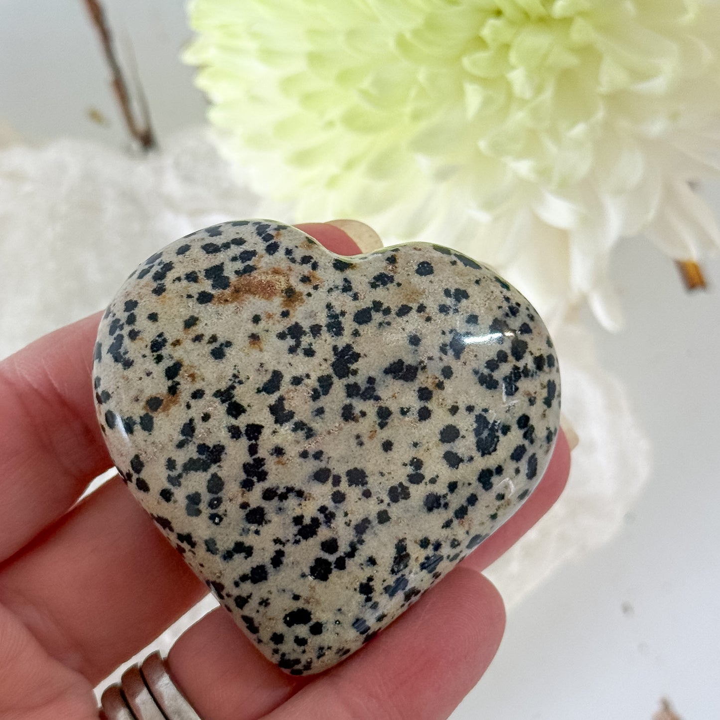 Dalmatian Jasper Heart #1352