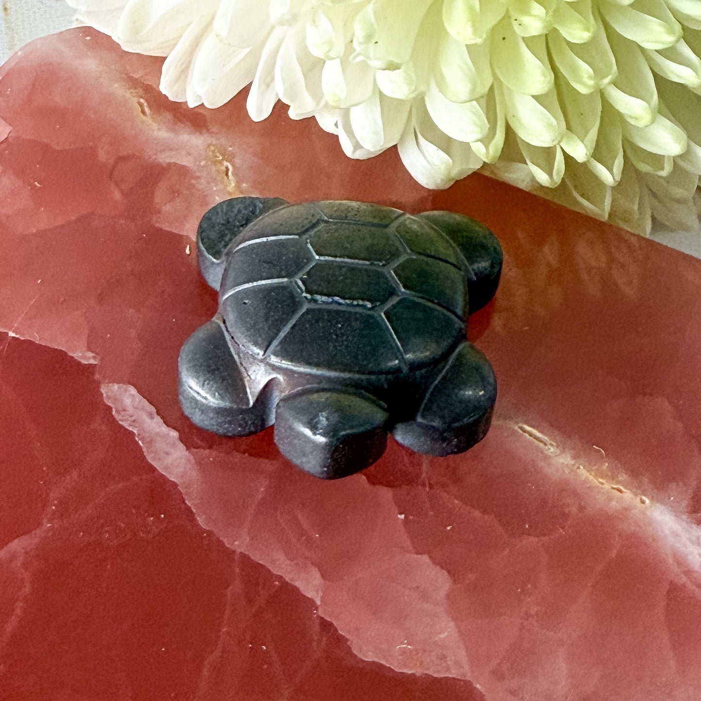 Hematite Turtle #1371