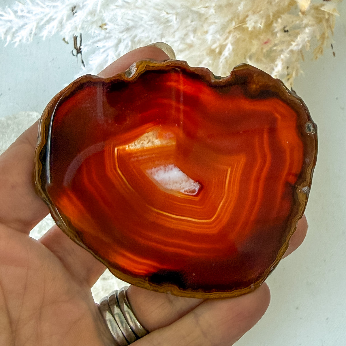 Carnelian Slice #1465