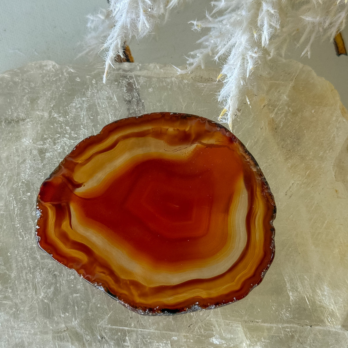 Carnelian Slice #1466