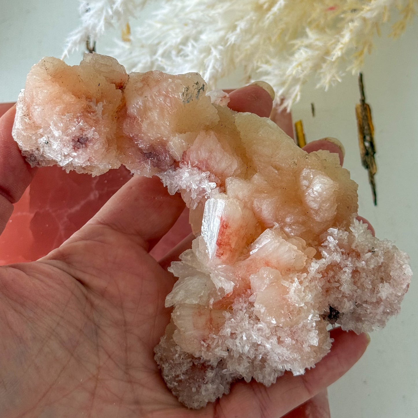 Apophyllite Cluster #1270