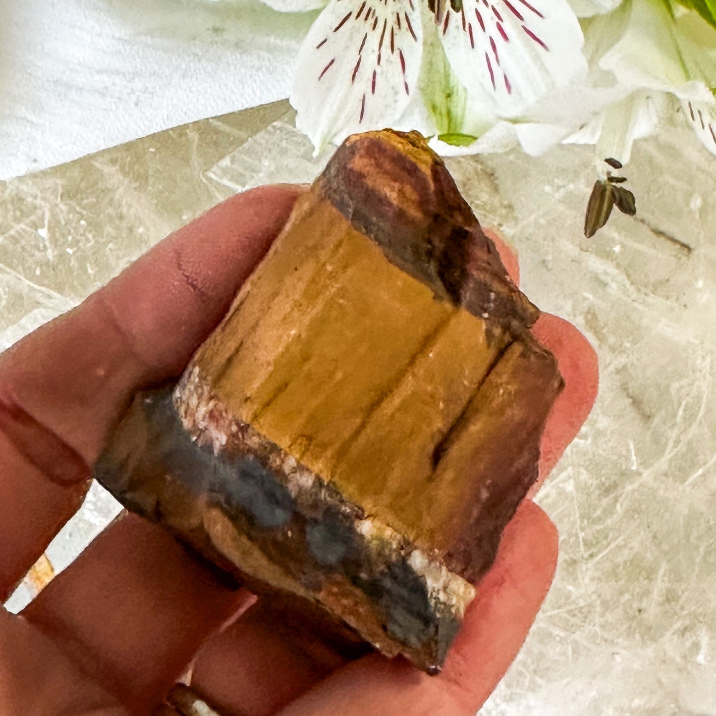 Raw Tigers Eye #1036-Happily Zen