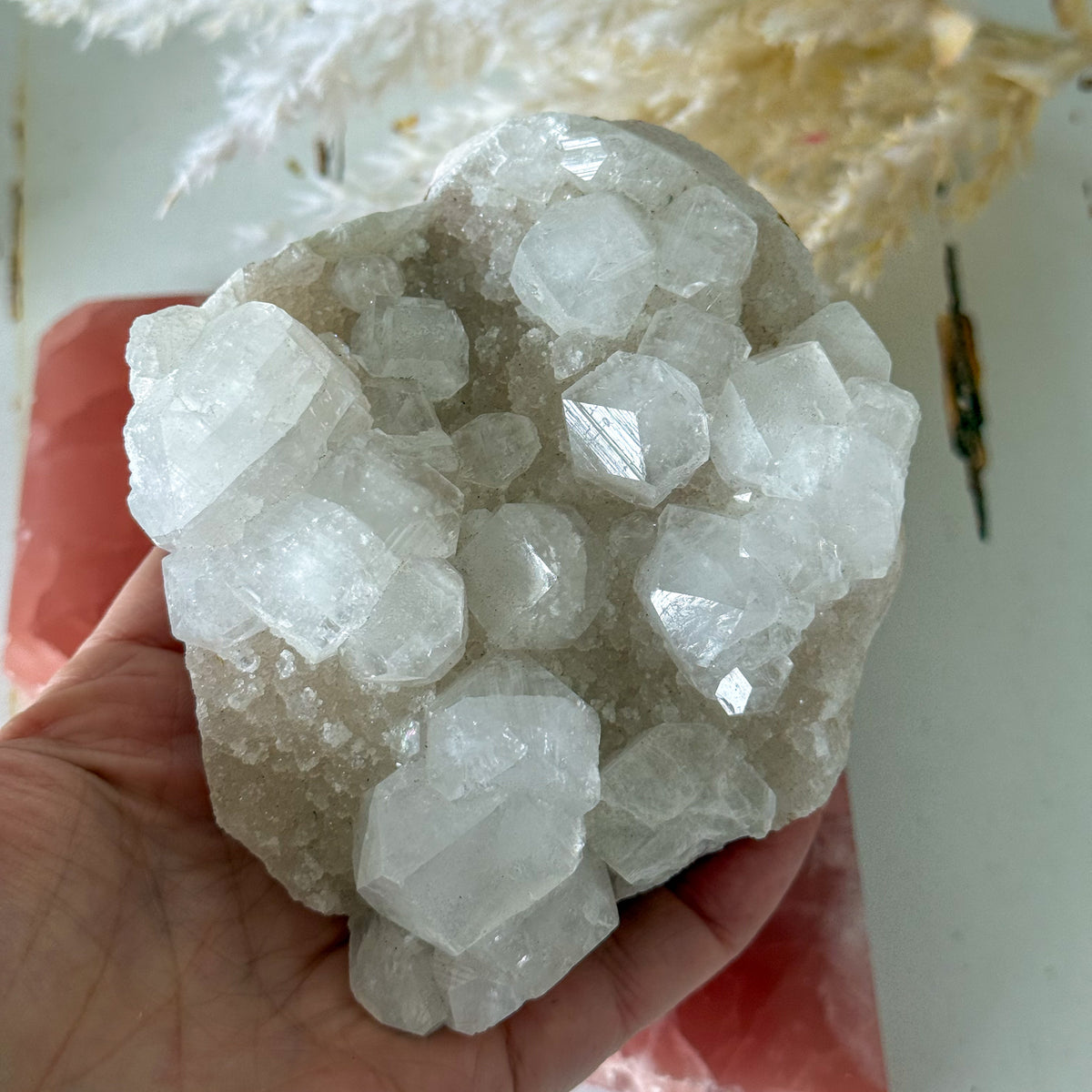 Apophyllite Cluster #1269-Happily Zen