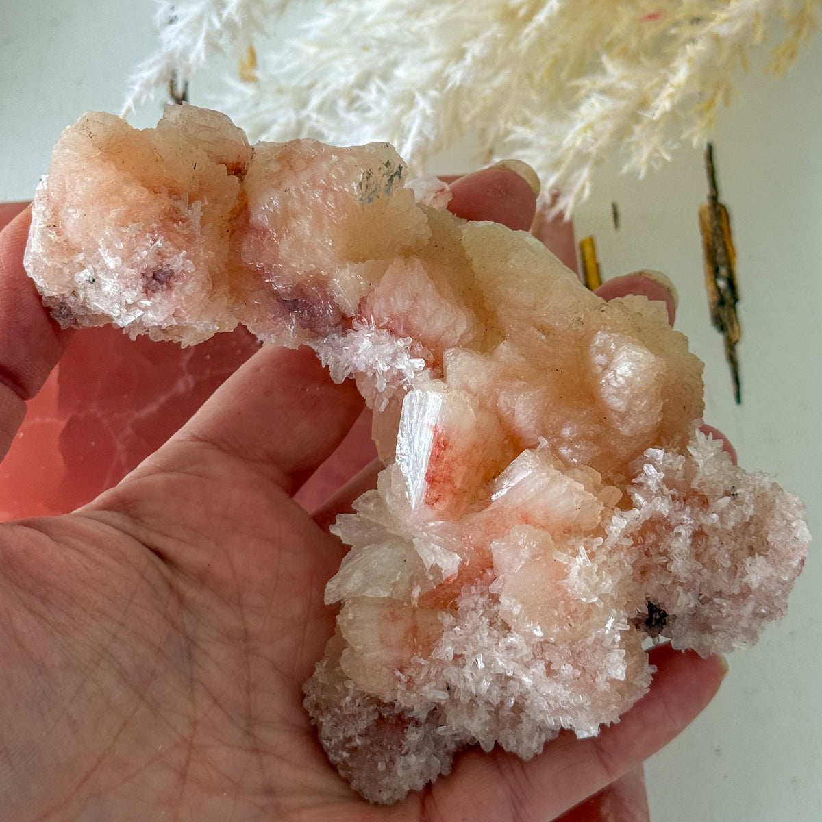 Apophyllite Cluster #1270-Happily Zen