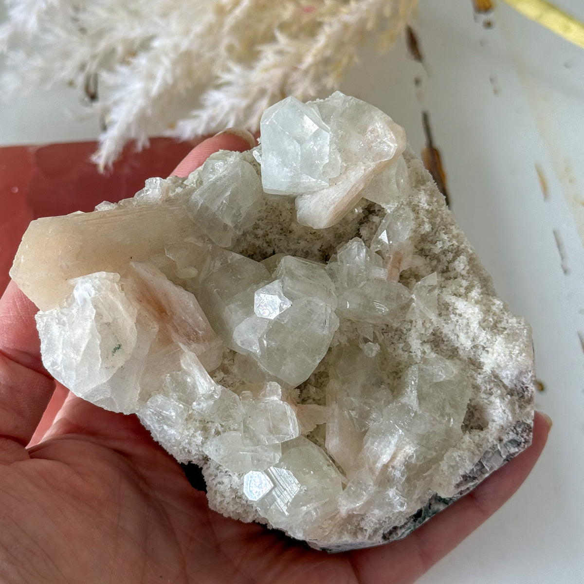 Apophyllite Cluster #1273-Happily Zen