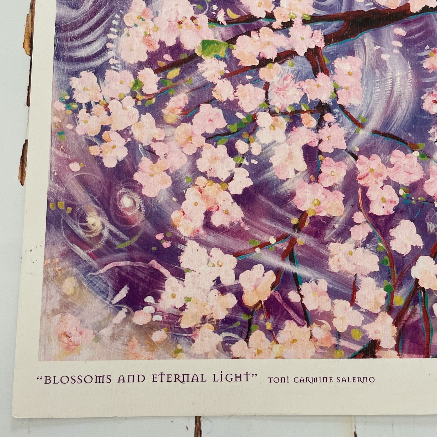Blossoms and Eternal Light Print by Toni Carmine Salerno-Happily Zen