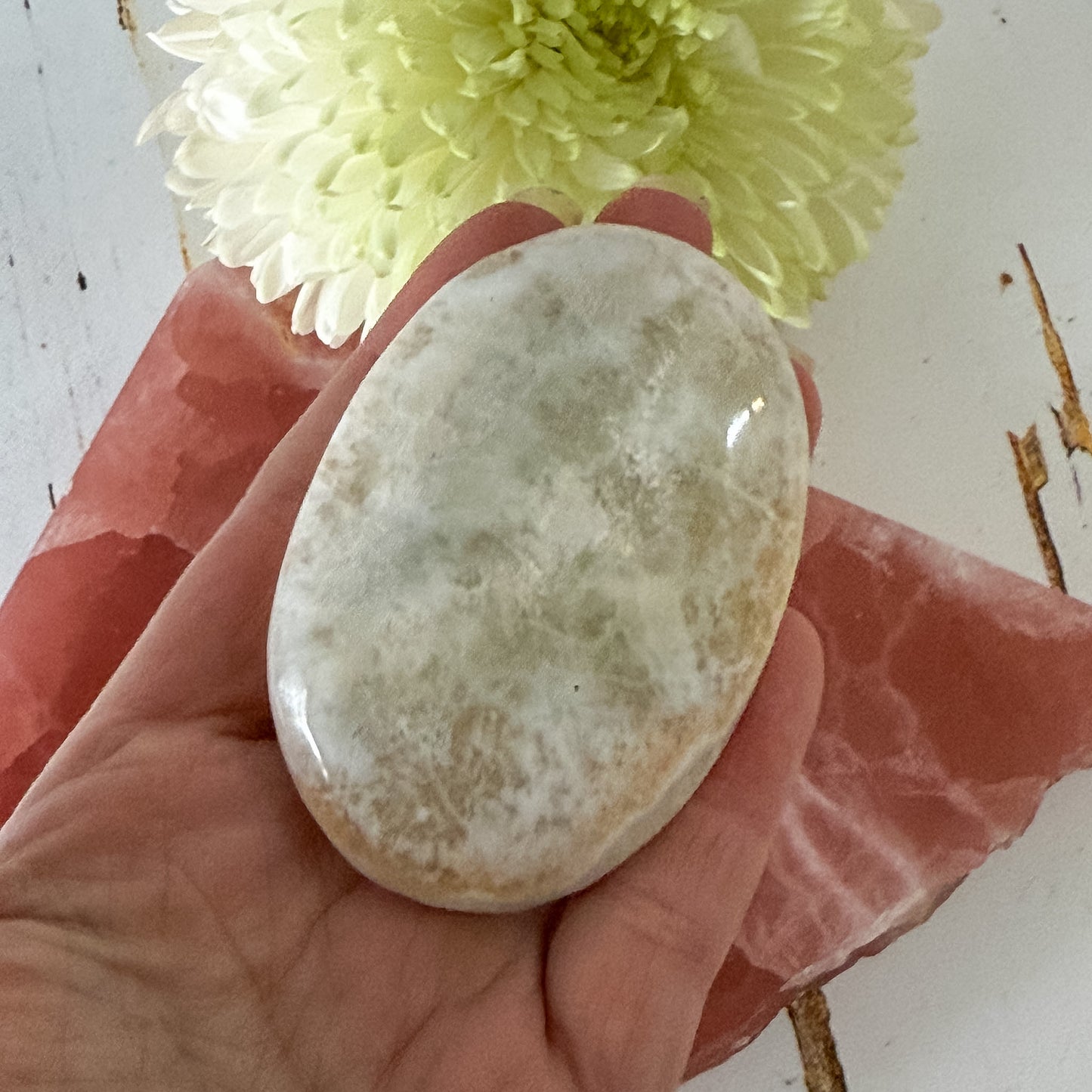 Caribbean Calcite Palm Stone #1431-Happily Zen