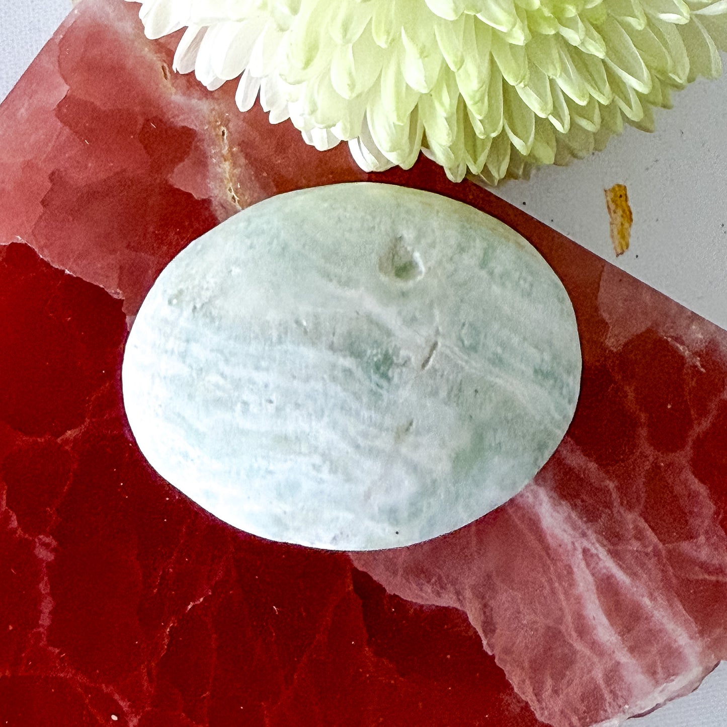 Caribbean Calcite Palm Stone #1438-Happily Zen