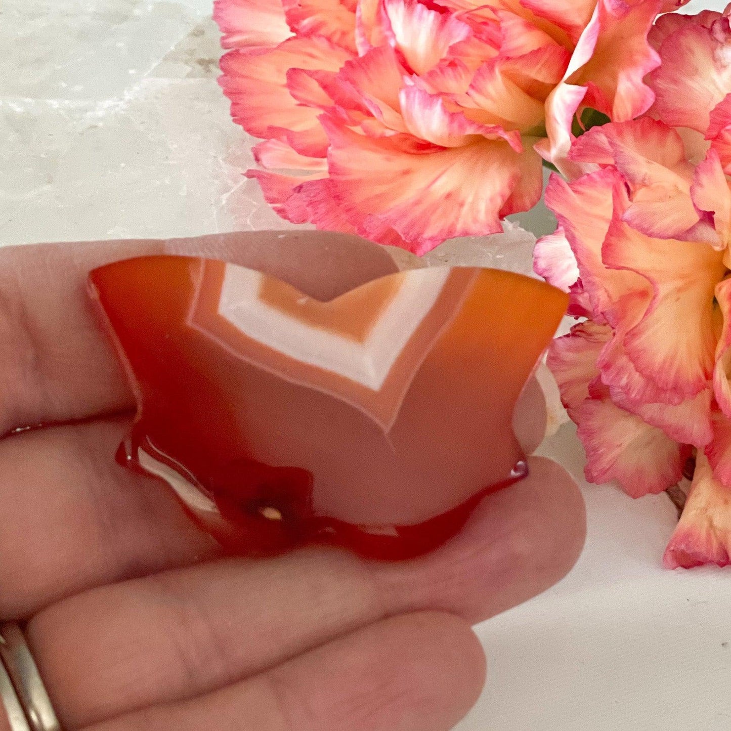 Carnelian Butterfly #48-Happily Zen