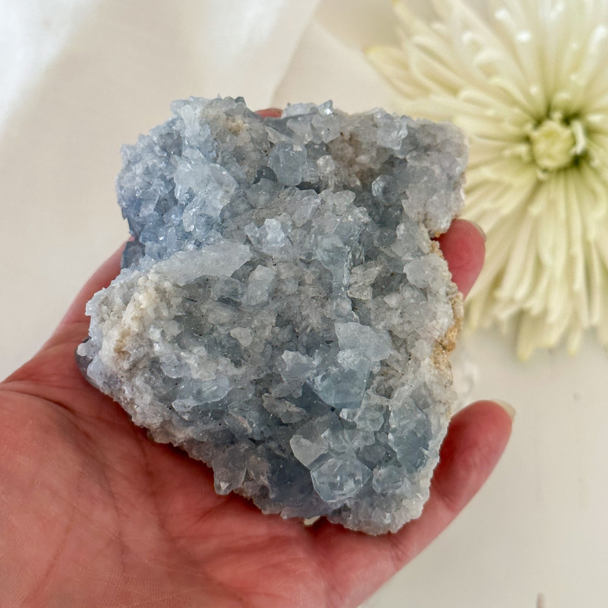 Celestite Cluster #640-Happily Zen