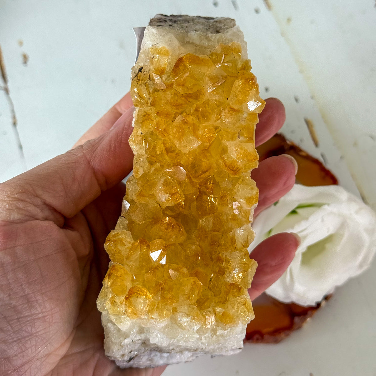 Citrine Cluster #1267-Happily Zen