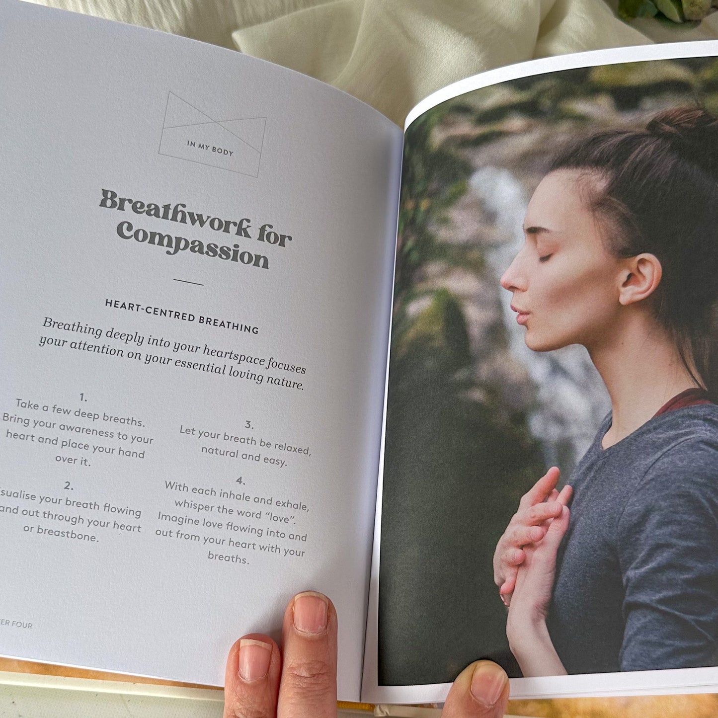 Dream Believer - Purpose #722-Happily Zen