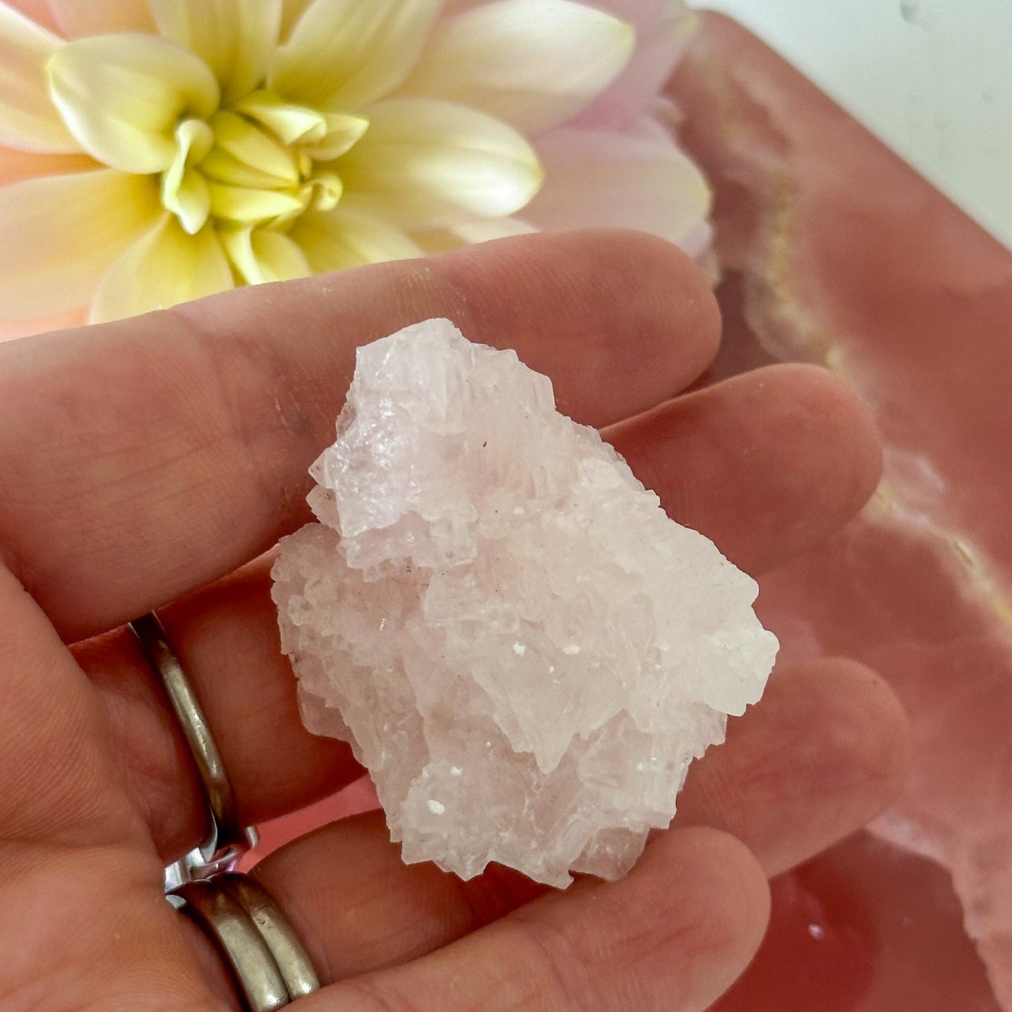 Pink Halite Cluster #888-Happily Zen