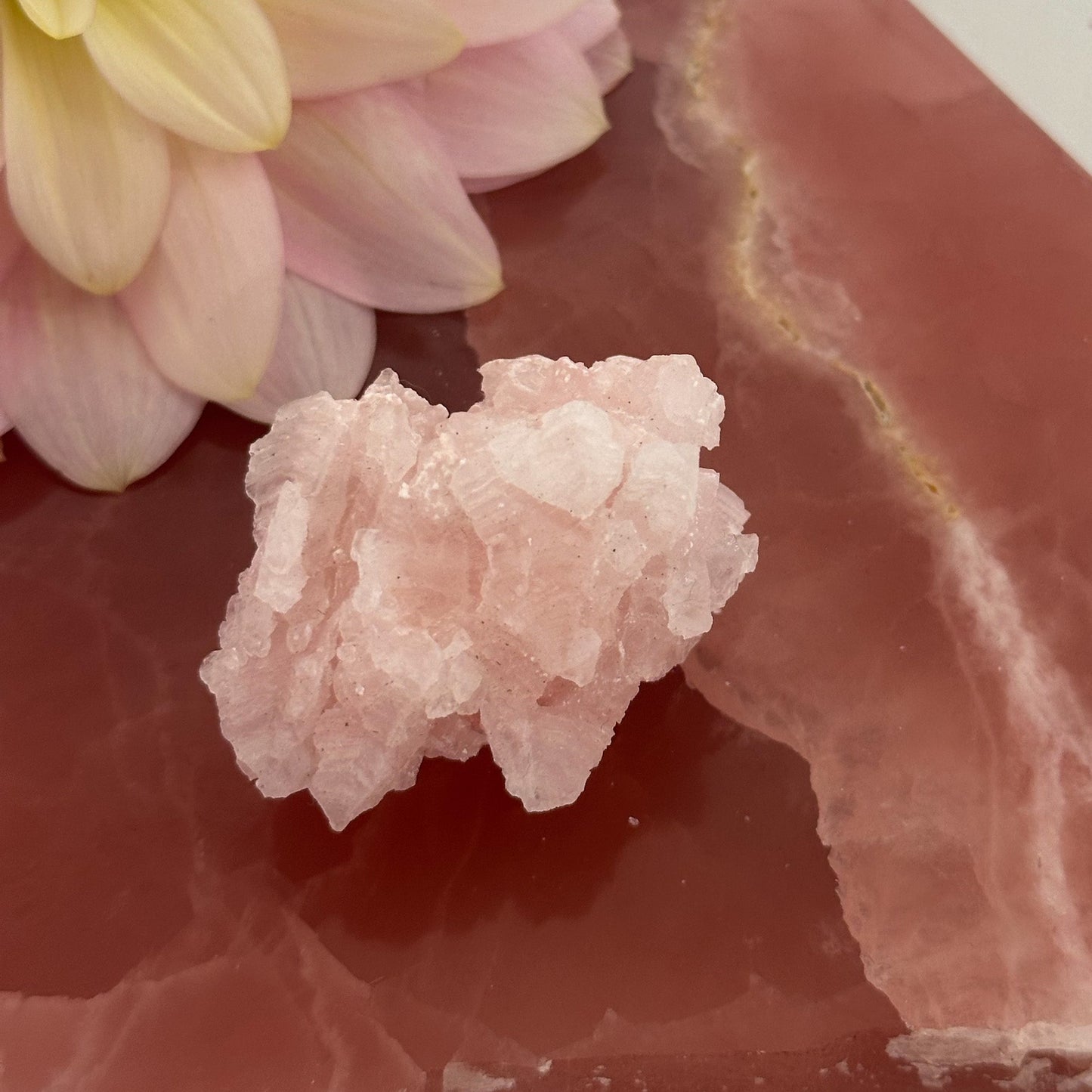 Pink Halite Cluster #891-Happily Zen
