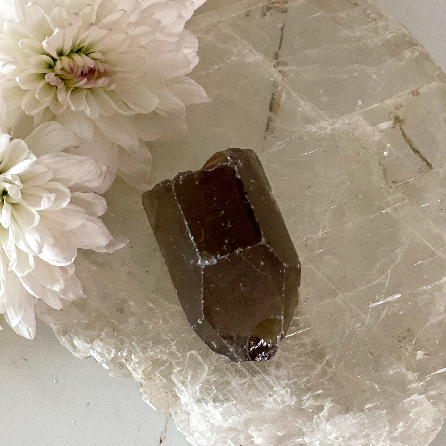 Raw Smokey Quartz #344-Happily Zen