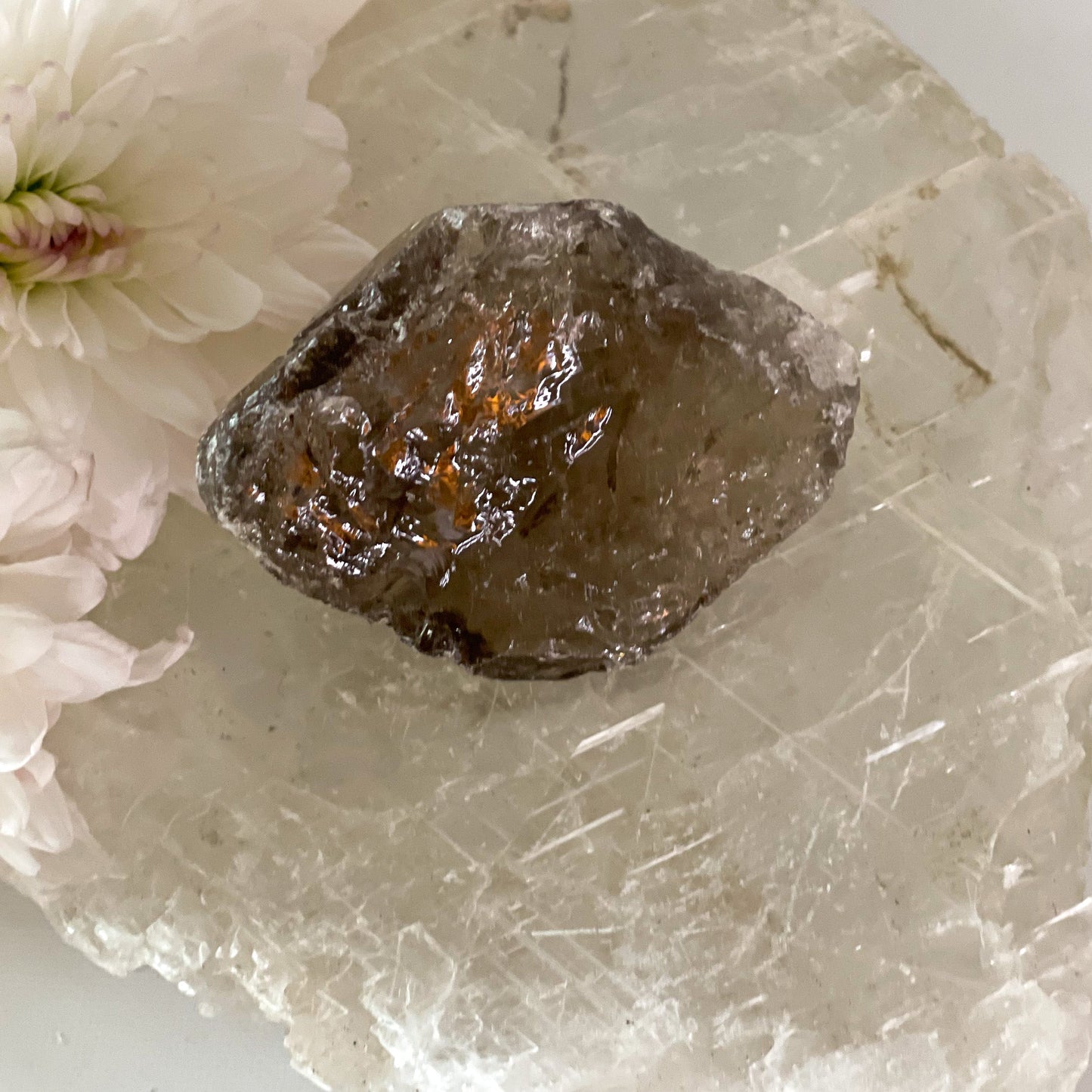 Raw Smokey Quartz #346-Happily Zen