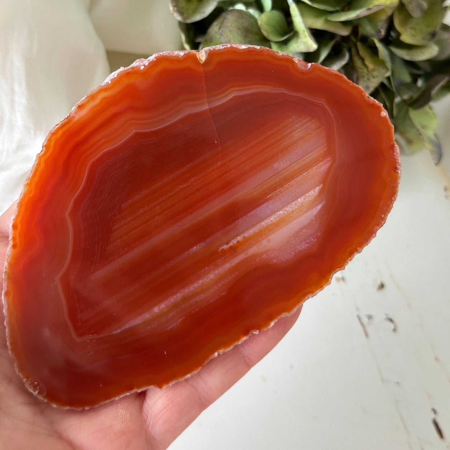 Red Agate Slice #897-Happily Zen