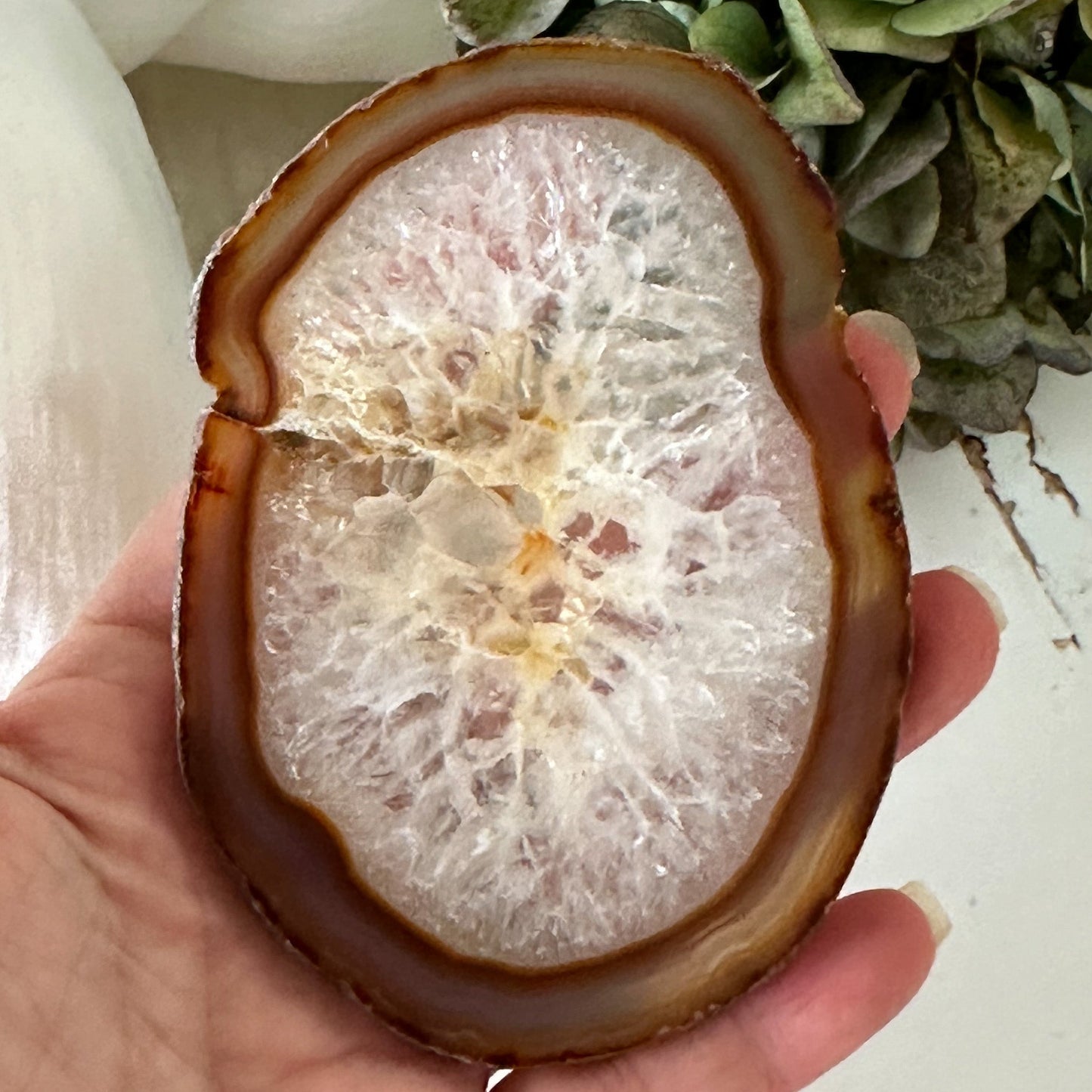 Red Agate Slice #899-Happily Zen