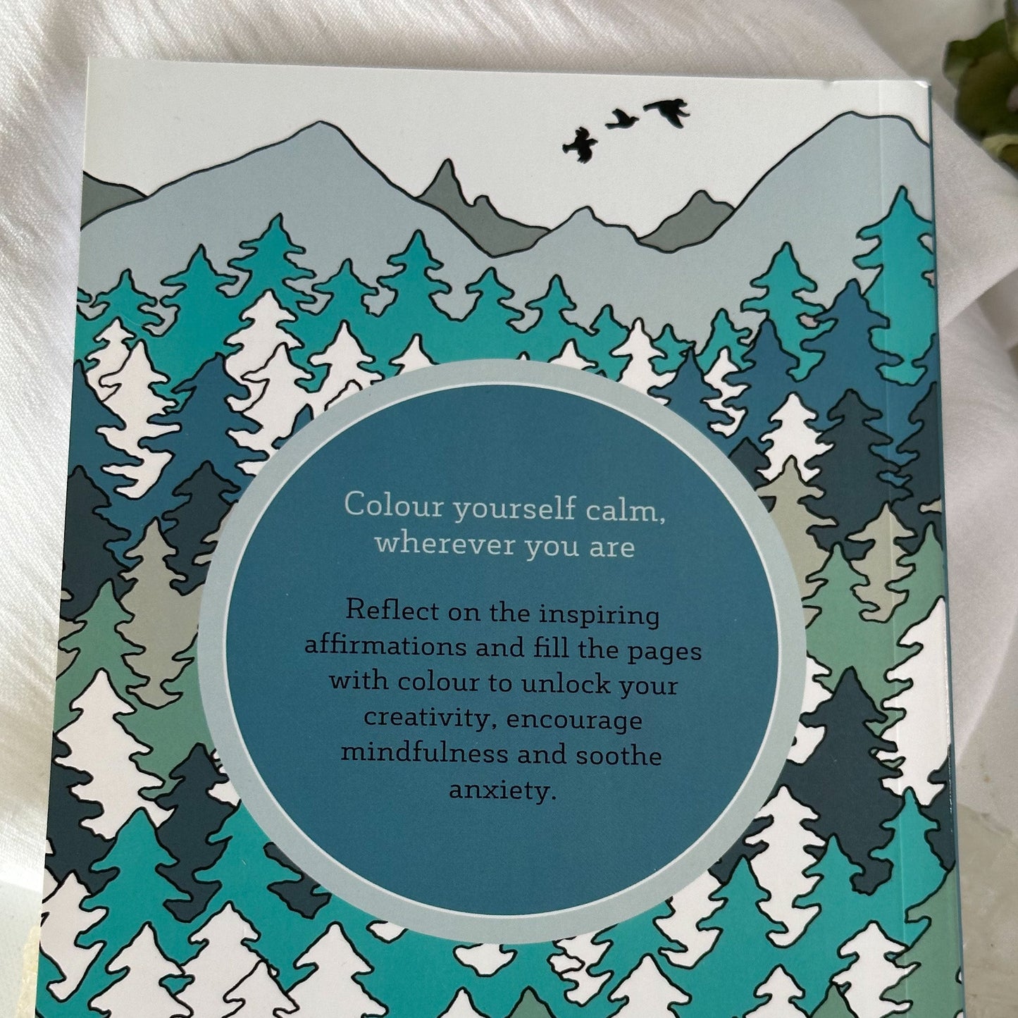 Wild Woodland- The Little Book of Colouring #799-Happily Zen