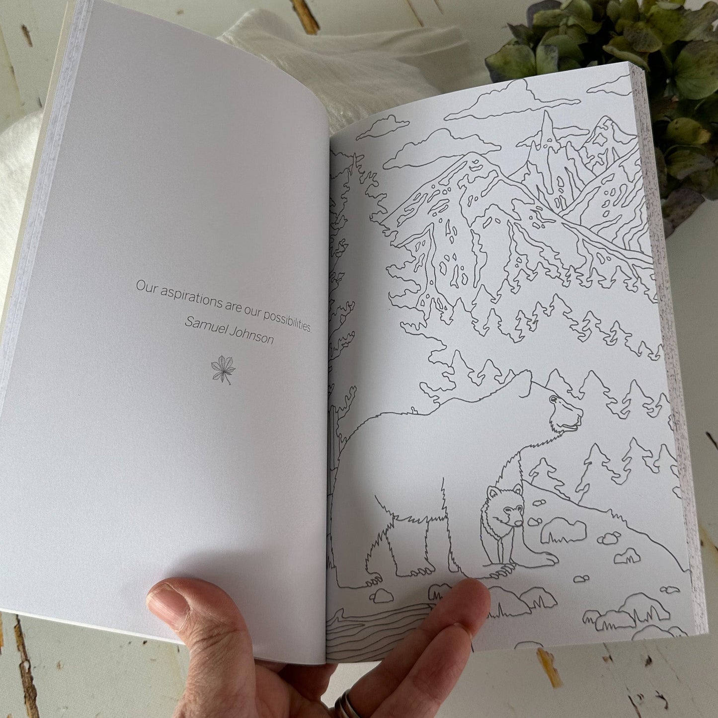 Wild Woodland- The Little Book of Colouring #799-Happily Zen