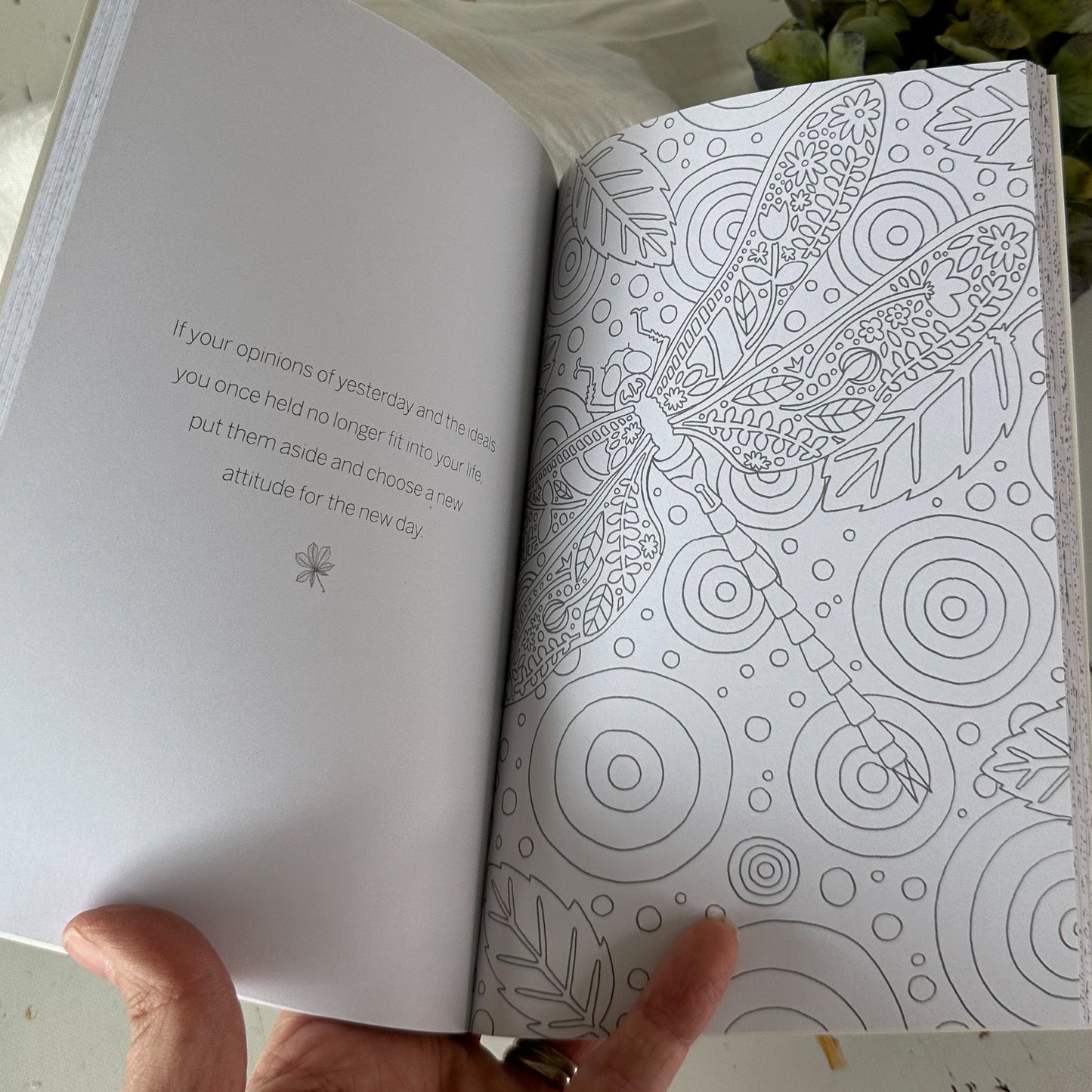 Wild Woodland- The Little Book of Colouring #799-Happily Zen