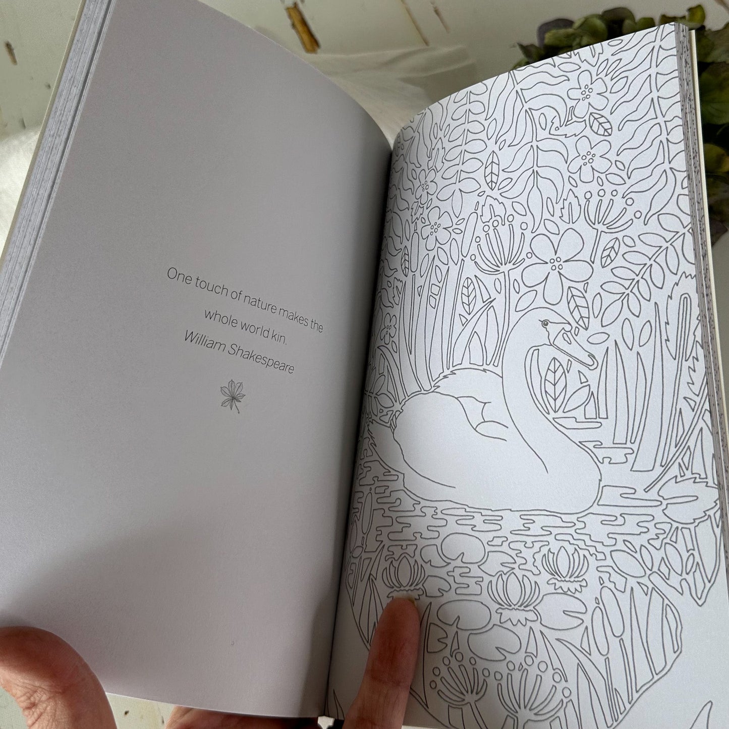 Wild Woodland- The Little Book of Colouring #799-Happily Zen