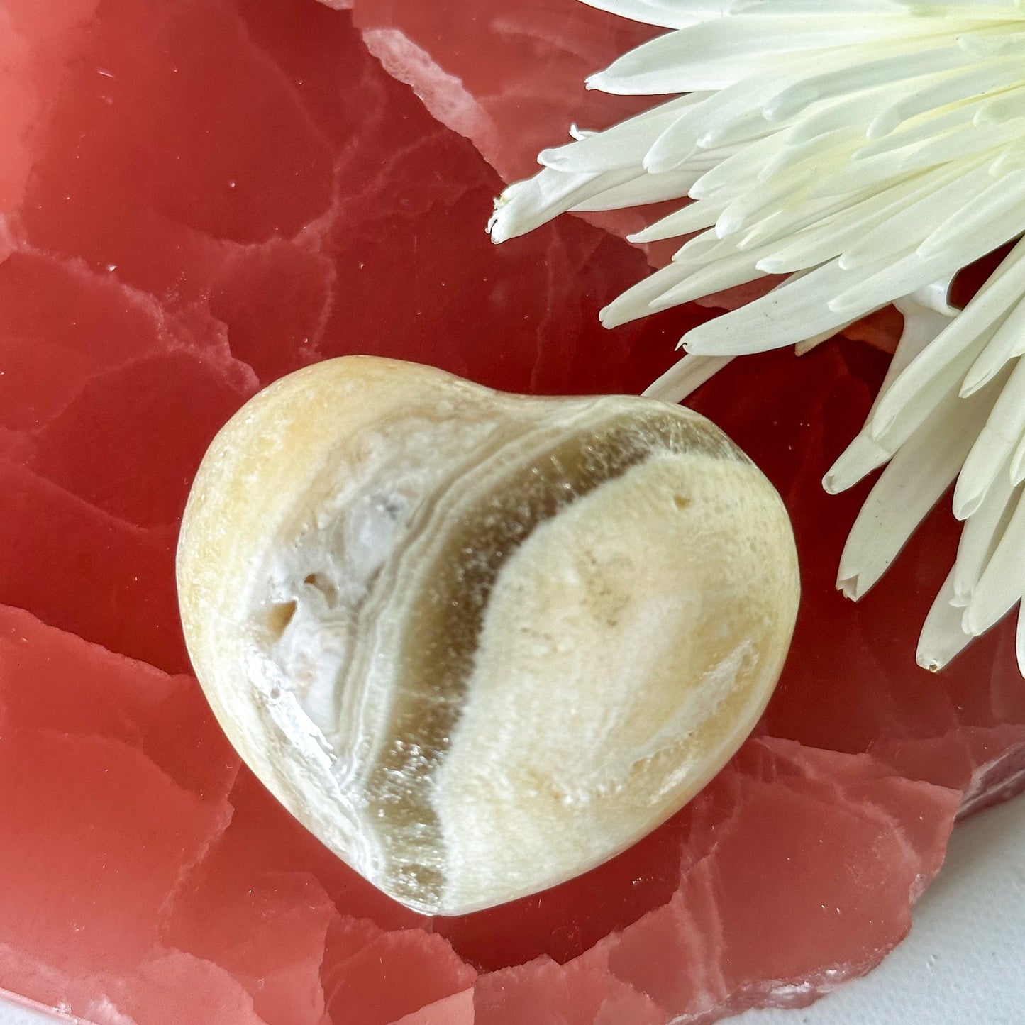Zebra Calcite Heart #807-Happily Zen