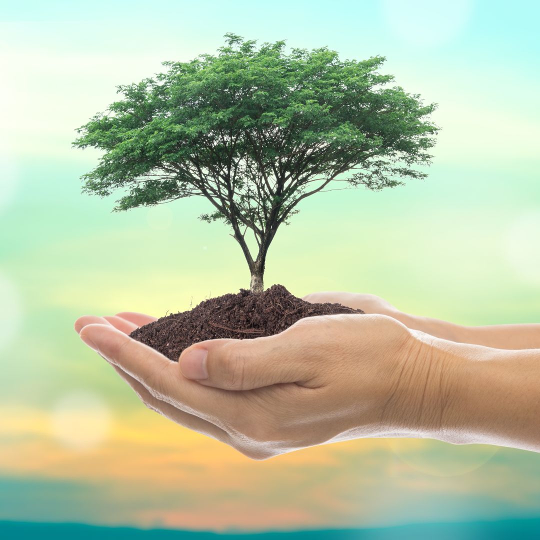 Cultivating a Growth Mindset-Happily Zen