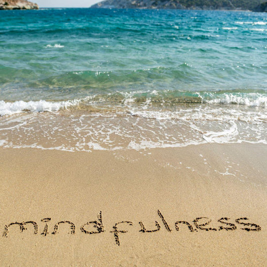 Harnessing the Power of Mindfulness: A Key to Personal Development and Inner Peace -Happily Zen