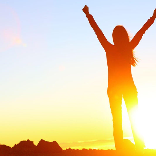 Make Success your Destiny-Happily Zen