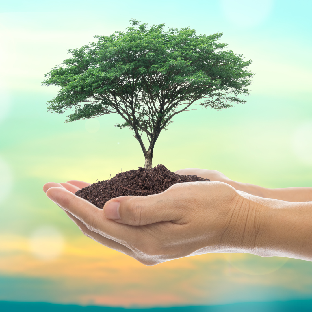 Cultivating a Growth Mindset-Happily Zen