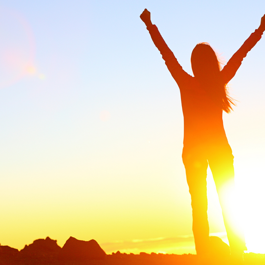 Make Success your Destiny-Happily Zen