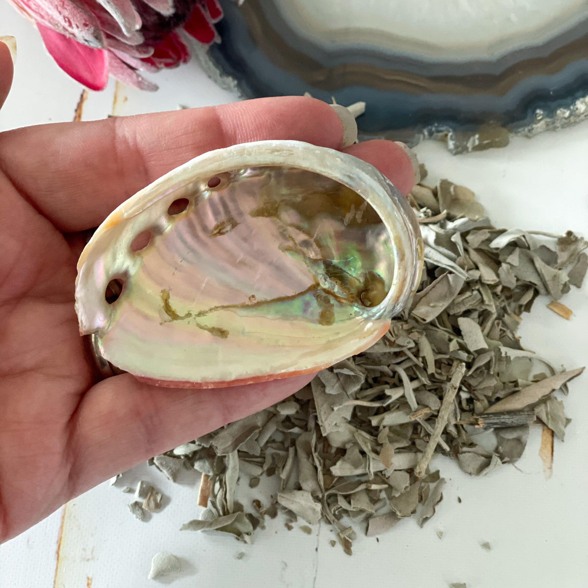 Abalone and White Sage #293-Happily Zen
