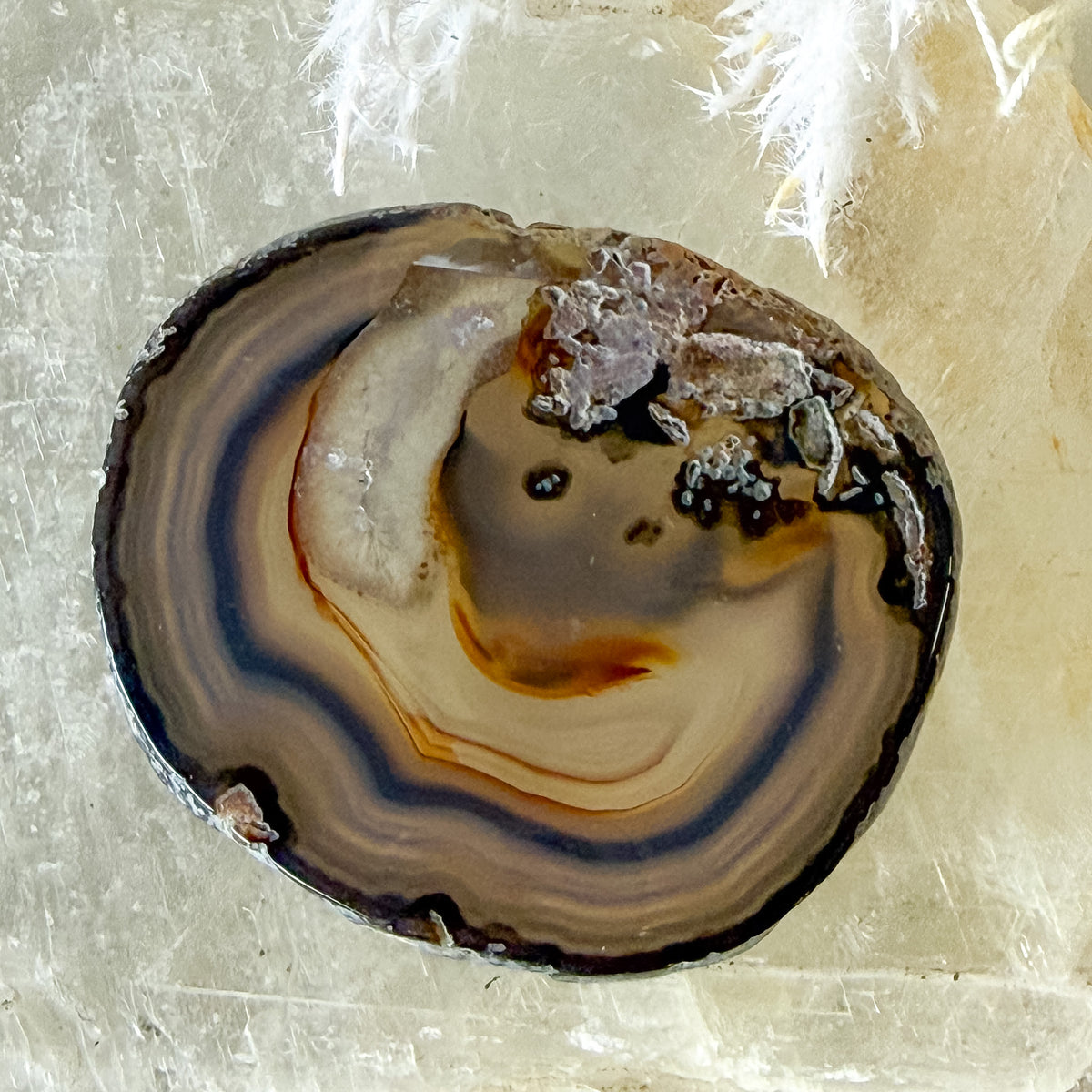 Agate Slice #1455-Happily Zen