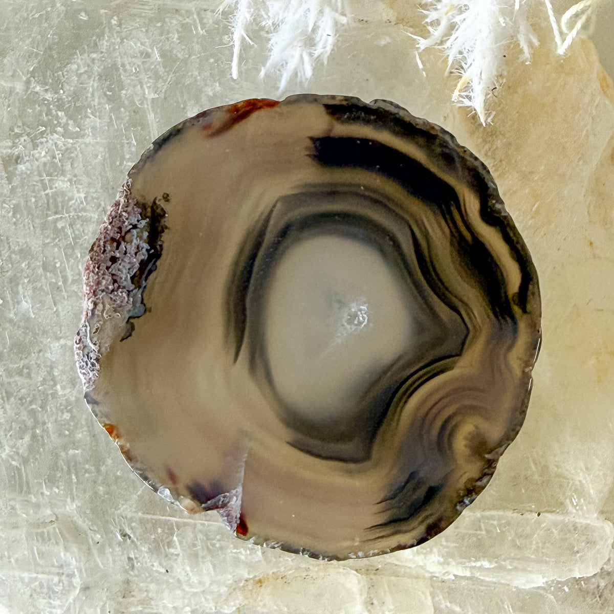 Agate Slice #1456-Happily Zen