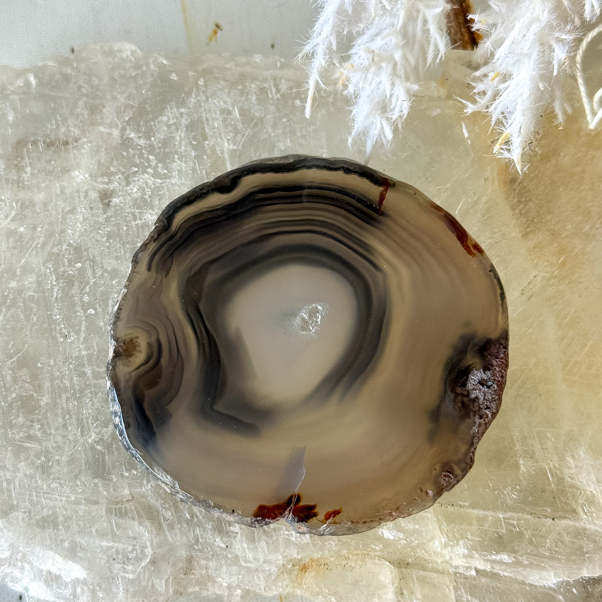 Agate Slice #1456-Happily Zen