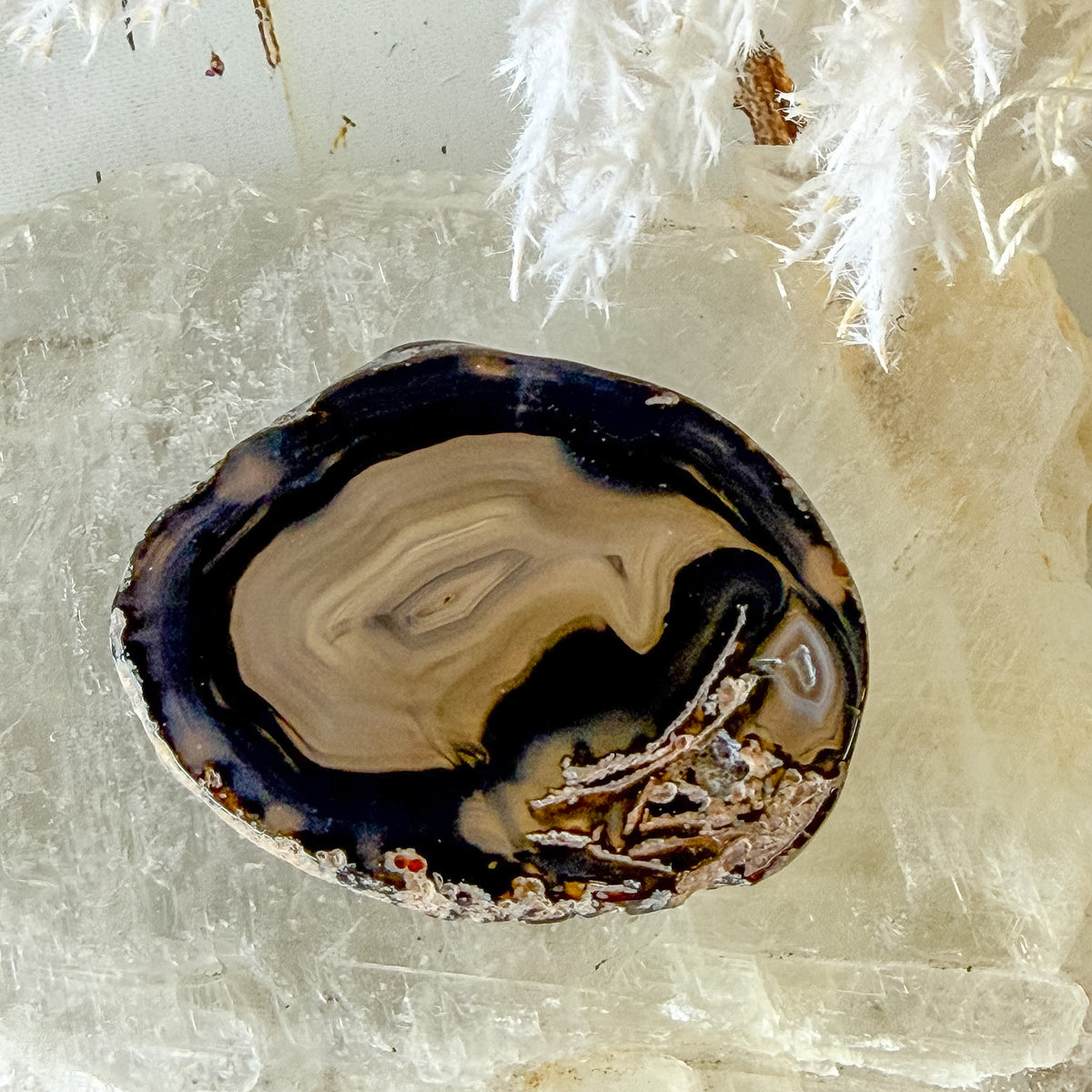 Agate Slice #1457-Happily Zen