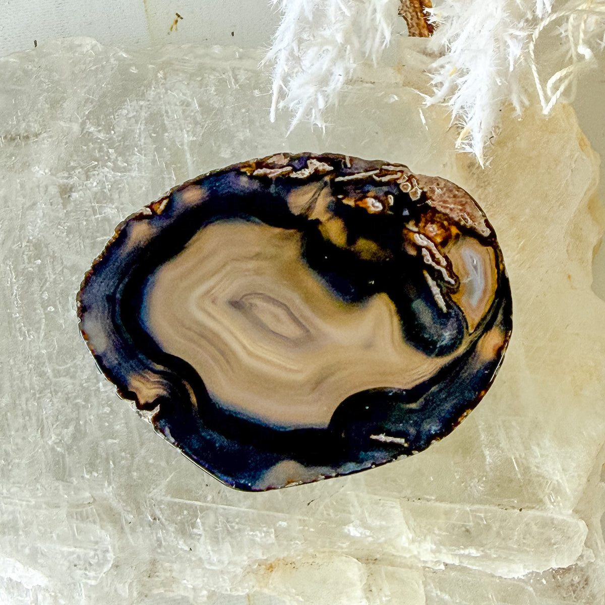 Agate Slice #1457-Happily Zen