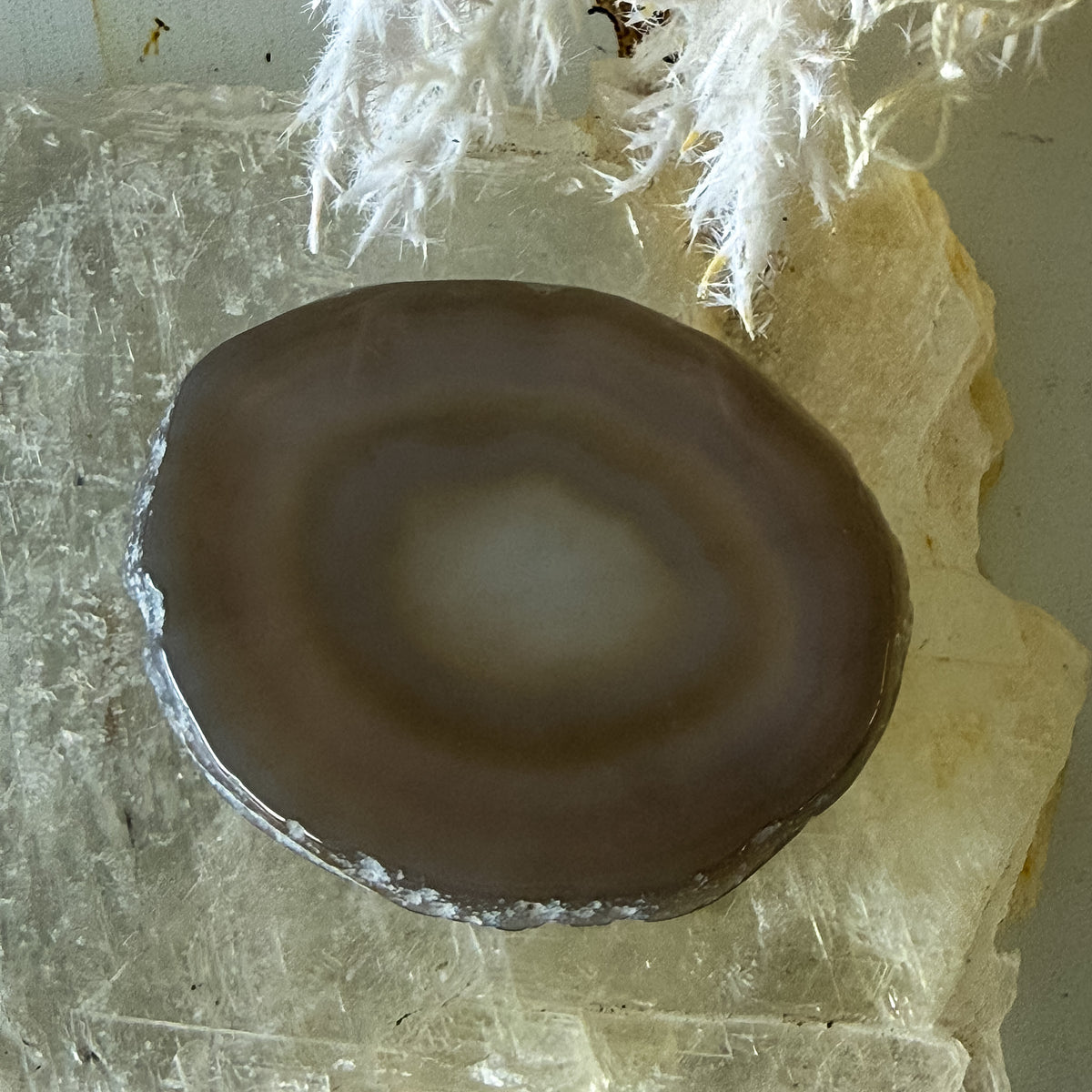 Agate Slice #1458-Happily Zen