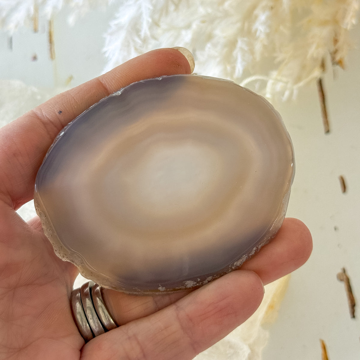 Agate Slice #1458-Happily Zen