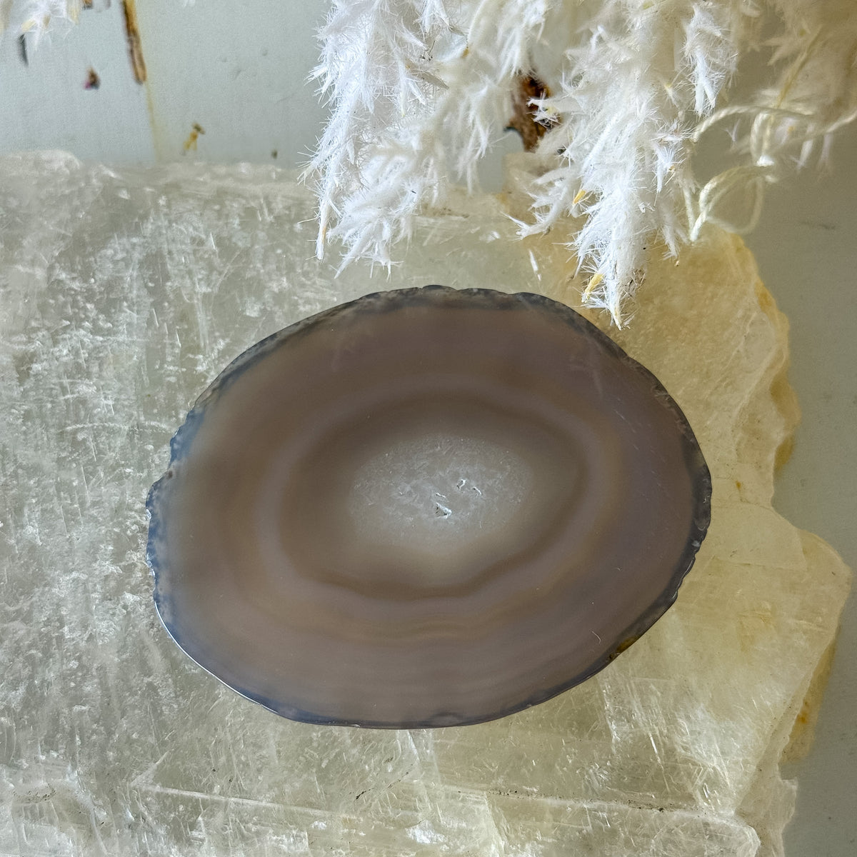 Agate Slice #1458-Happily Zen