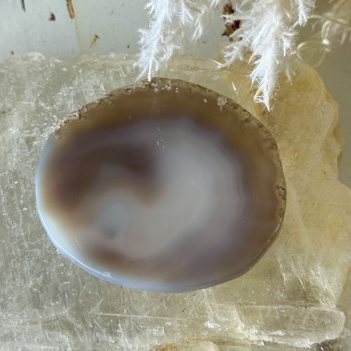 Agate Slice #1459-Happily Zen