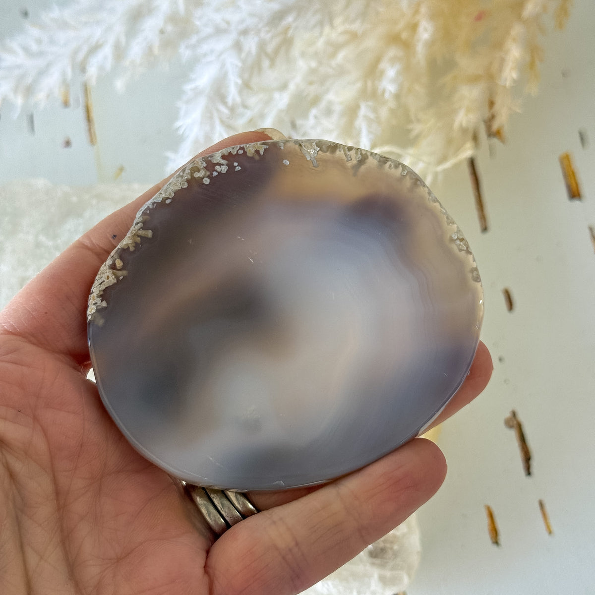 Agate Slice #1459-Happily Zen