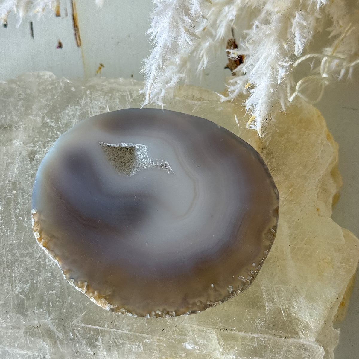 Agate Slice #1459-Happily Zen
