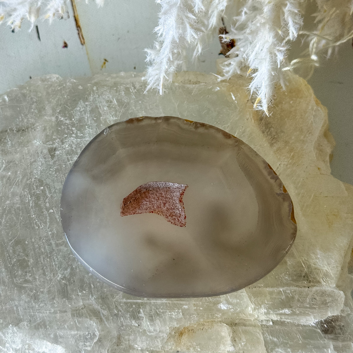 Agate Slice #1460-Happily Zen