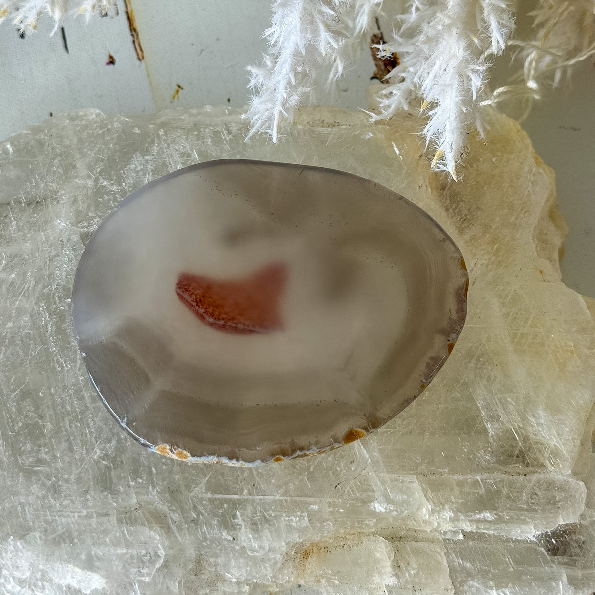 Agate Slice #1460-Happily Zen