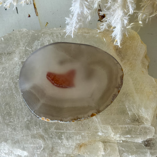 Agate Slice #1460-Happily Zen